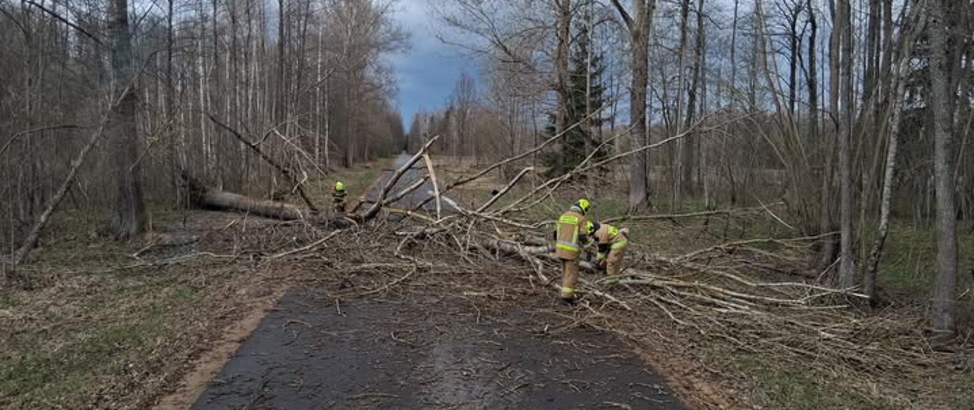 Skutki porywistego wiatru