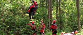 Zdjęcie przedstawia odpowiednio zabezpieczonego i wyposażonego w sprzęt ratownika wysokościowego, który zostaje wraz z osobą poszkodowaną ewakuowany w dół przy użyciu technik linowych. Na zdjęciu obecni są również pozostali trzej ratownicy wysokościowi, którzy czekają na przejęcie poszkodowanego w celu jego transportu do przygotowanego punktu medycznego widocznego w tle fotografii
