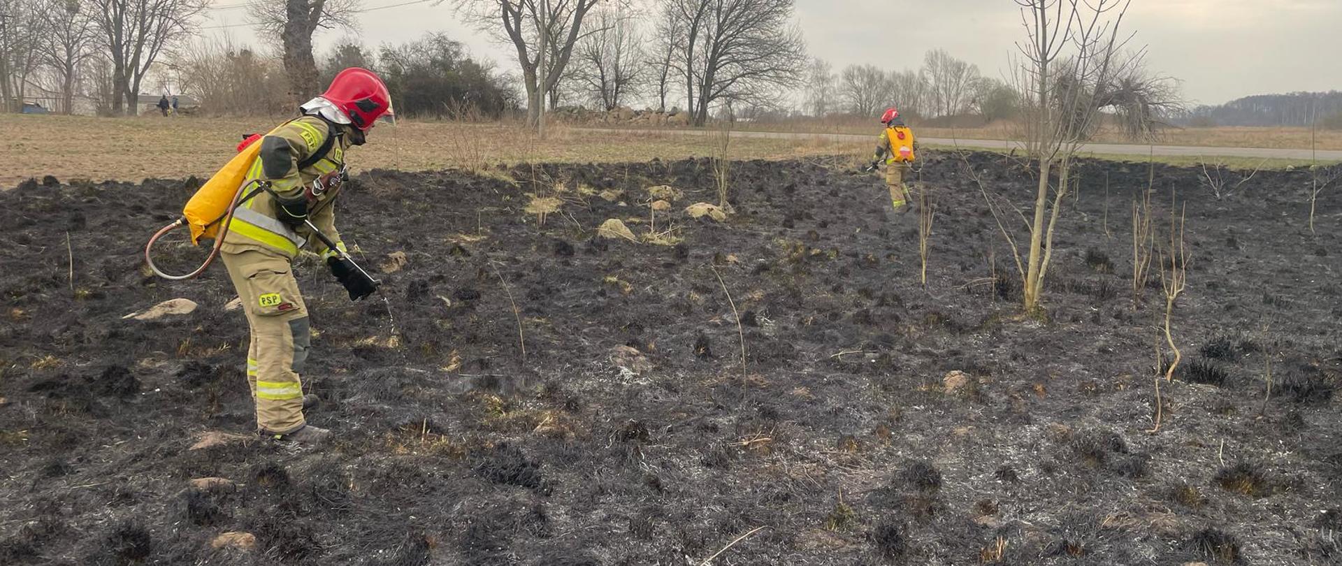 Zdjęcie przedstawia strażaków podczas gaszenia pożaru traw i łąk.
W tle trawa i nieużytki.
