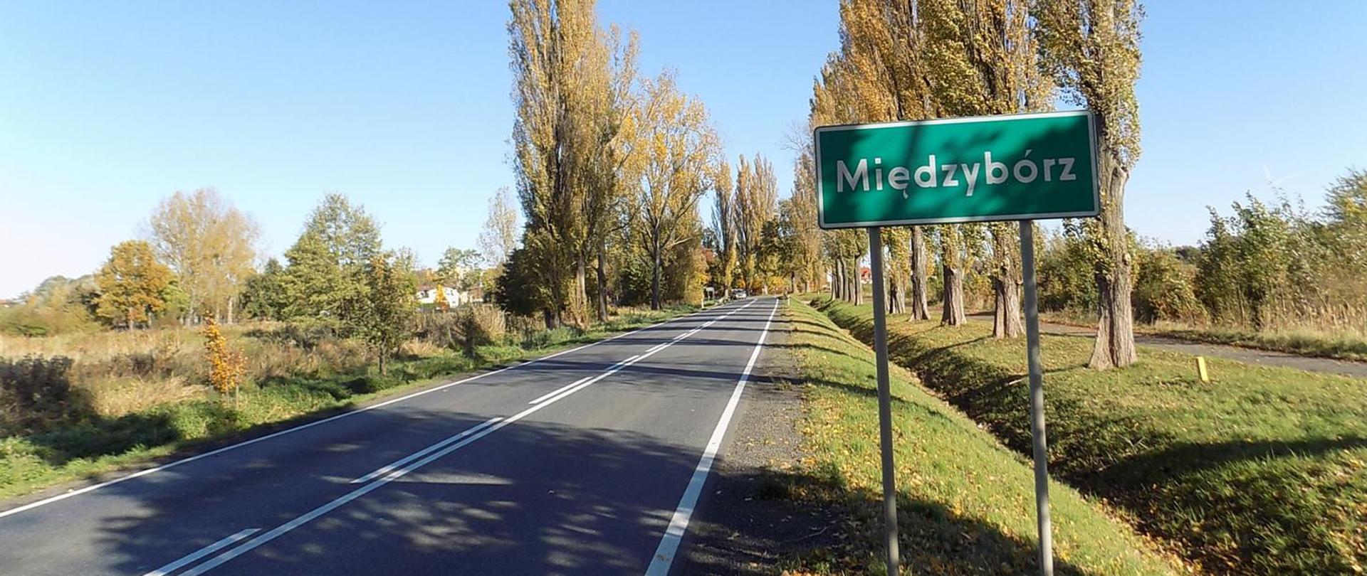 Droga krajowa nr 25 w rejonie miejscowości Międzybórz – widok na jezdnię z oznakowaniem poziomym oraz zieloną tablicę wjazdową z nazwą miejscowości, w otoczeniu drzew i terenów zielonych.
