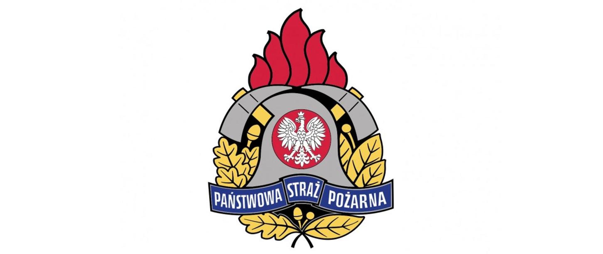 LOGO PSP