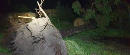 Straty związane z silnym wiatrem i gwałtownymi opadami deszczu w powiecie kazimierskim
