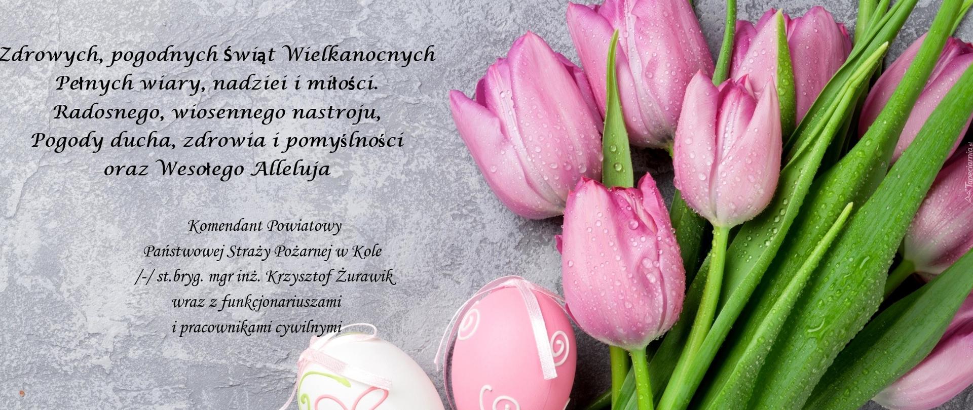 Zdjęcie przedstawia fioletowe tulipany i jajka na siwym tle