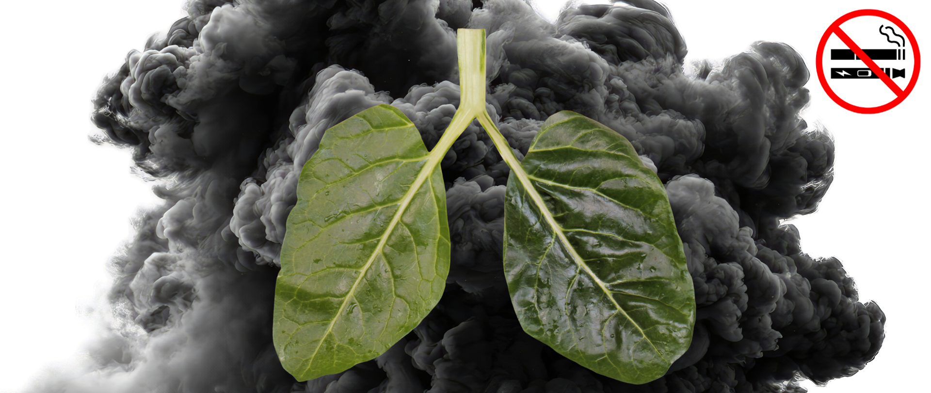 program antynikotynowy