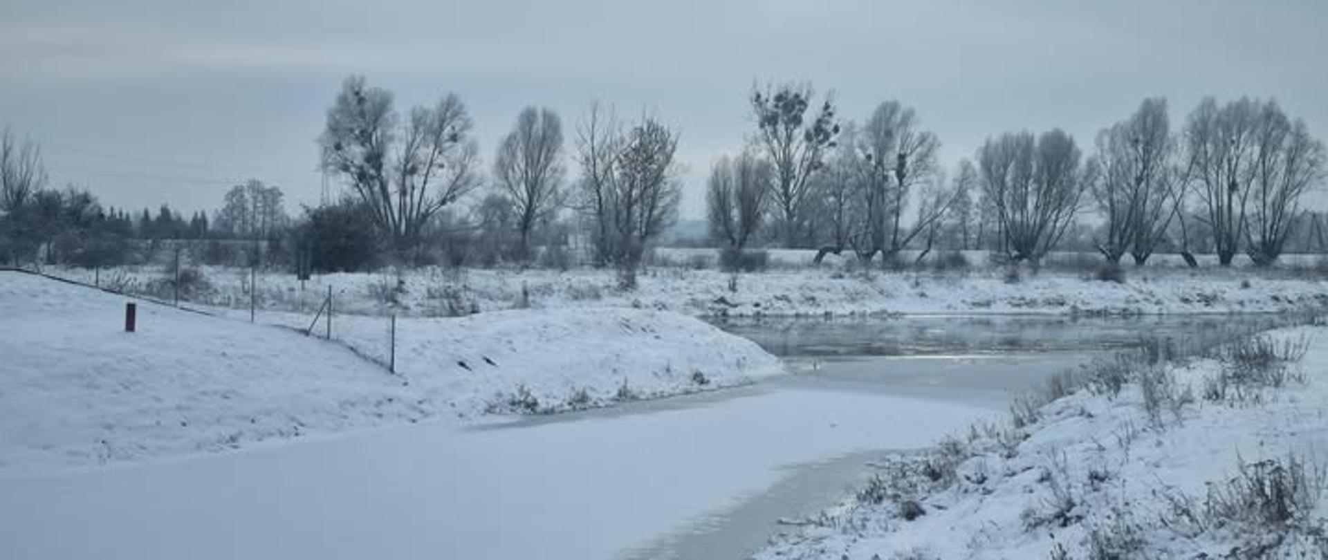 Zima 2026 - okolice Drezdenka 