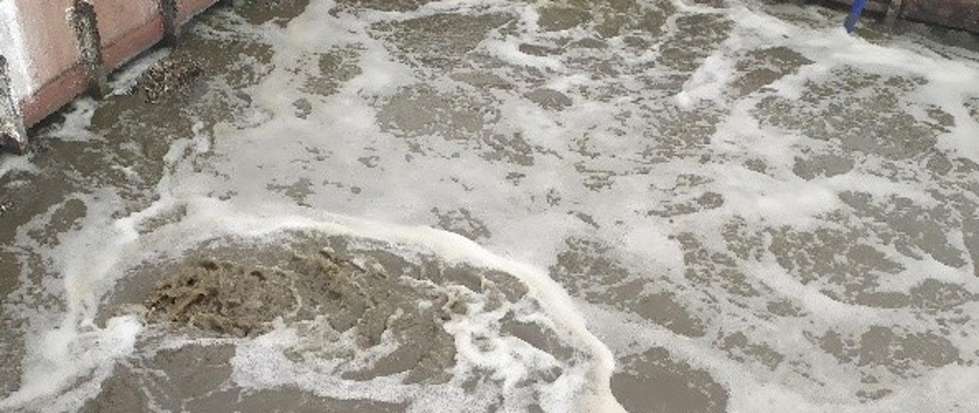 Ścieki z widoczną białą pianą wypływające z oczyszczalni w Brzozowie 