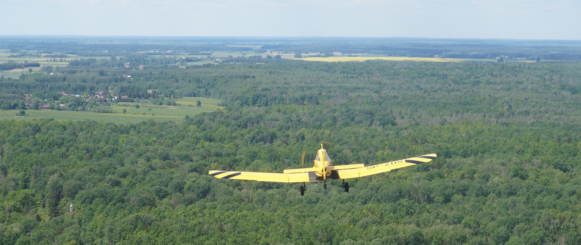 Ćwiczenia - BROWSK 2022 w Puszczy Białowieskiej.