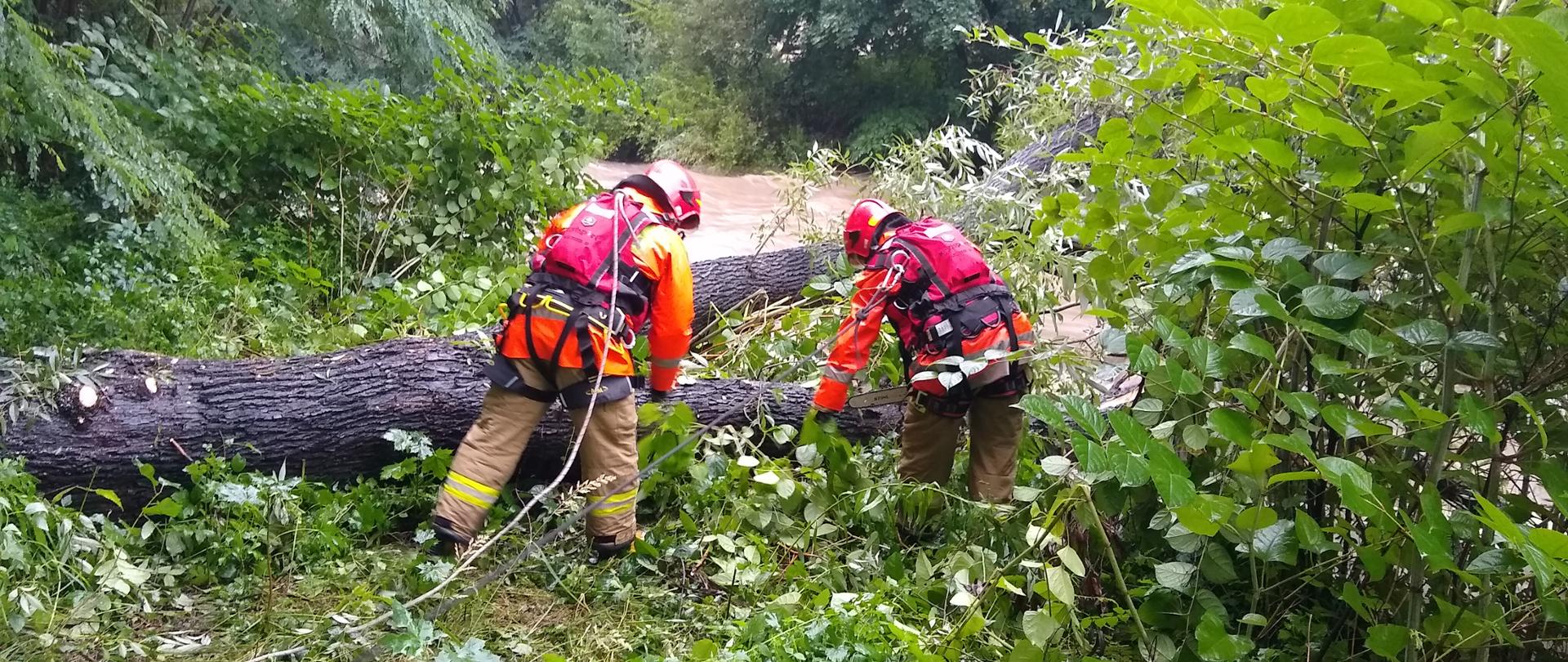 Na środku dwóch strażaków w ubraniach specjalnych, uprzężach oraz kamizelkach asekuracyjnych. Obaj są podpięci do lin asekuracyjnych. Strażak po prawej stronie trzyma pilarkę do drewna. Przed nimi powalone drzewo. W tle widoczny rwący nurt rzeki. Dookoła drzewa i zarośla.