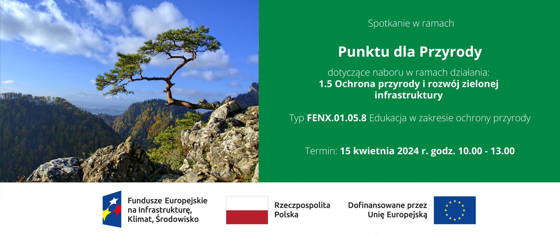 Po lewej stronie zdjęcie sosny w Pieninach, na dole ciąg znaków: logotypy FEnIKS, RP i UE, po prawej napis: "Spotkanie w ramach Punktu dla Przyrody dotyczące naboru w ramach działania: 1.5 Ochrona przyrody i rozwój zielonej infrastruktury Typ FENX.01.05.8 Edukacja w zakresie ochrony przyrody Termin: 15 kwietnia 2024 r. godz. 10.00 - 13.00"