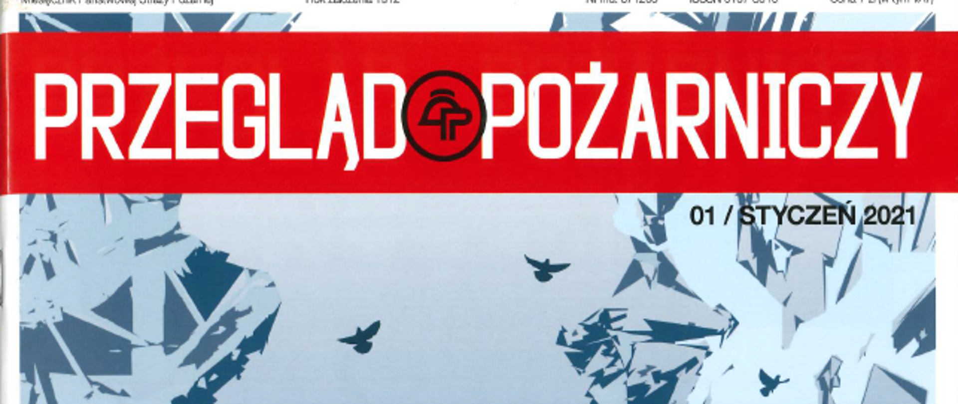 pierwsza strona gazety, rysunek strażaków , napis przaegląd pożarniczy styczeń 2021