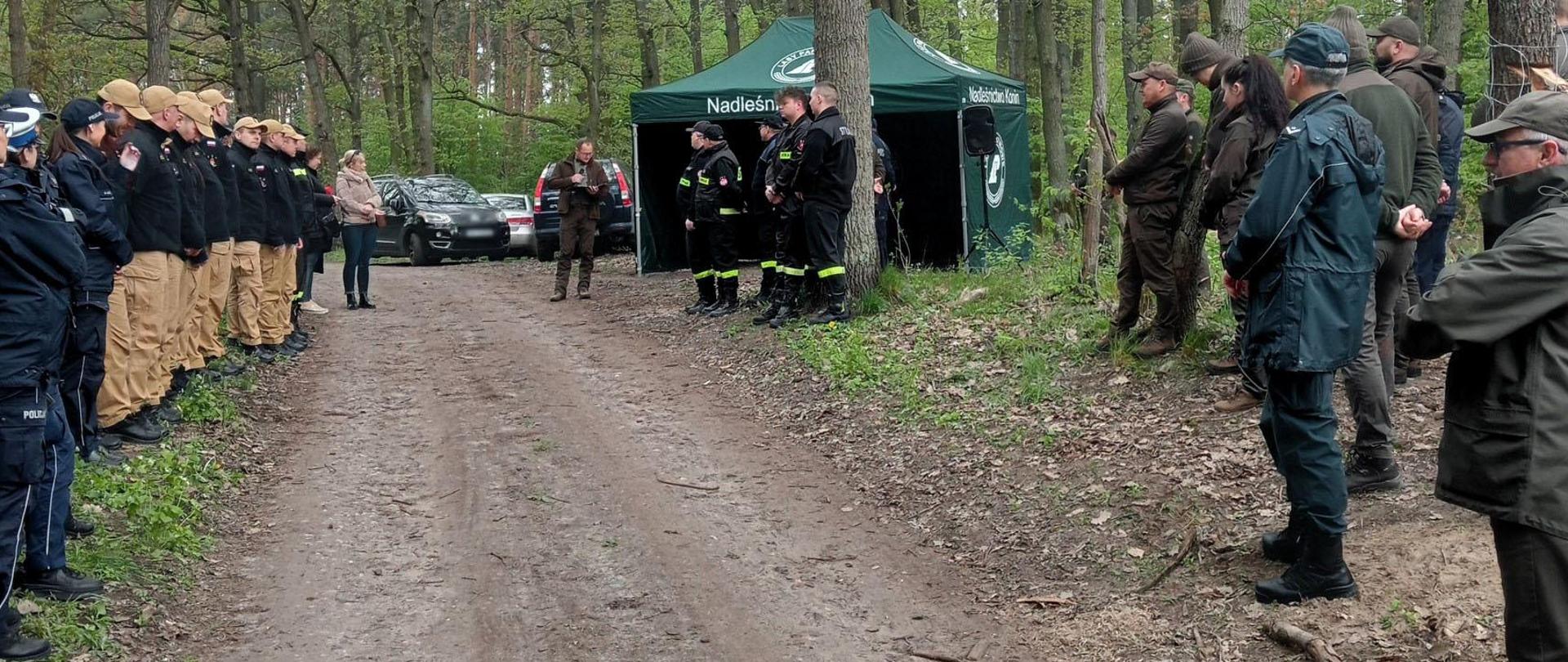 Inspektorzy wzięli udział w odnawianiu drzewostanu w Leśnictwie Bieniszew