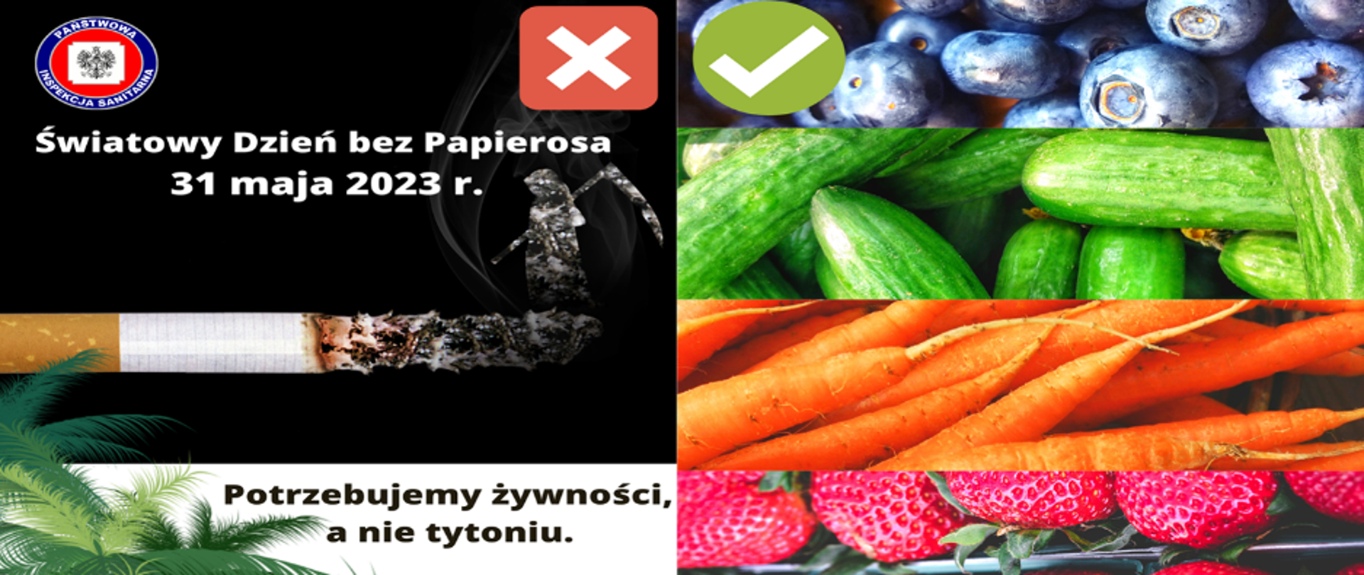 Światowy_Dzień_2023