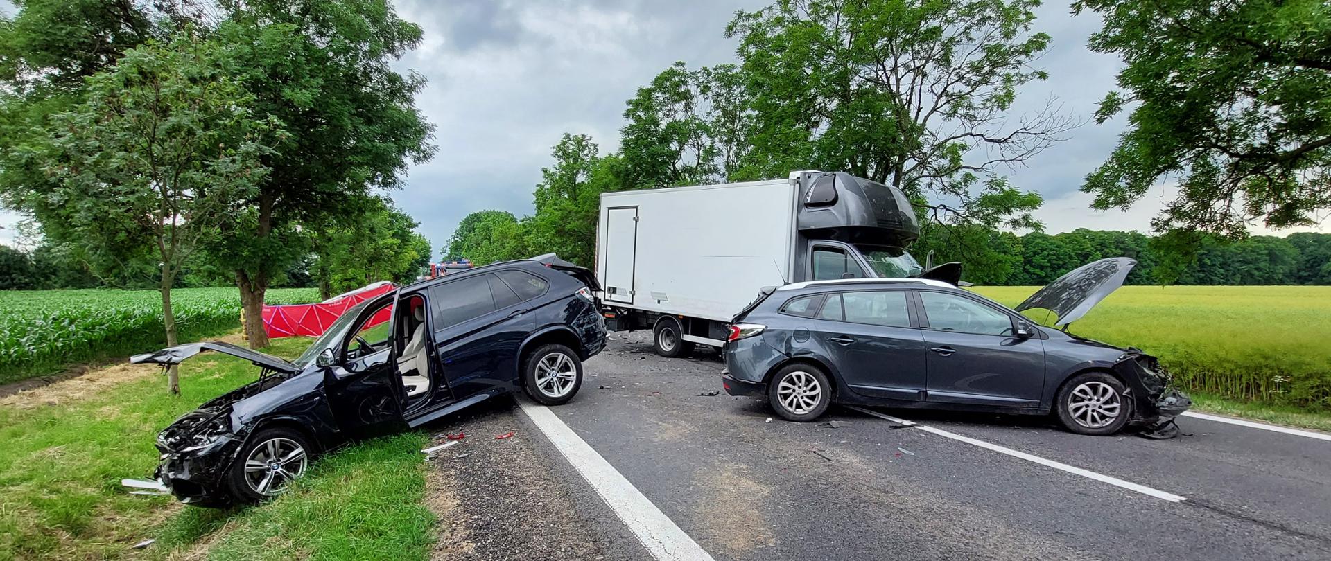 Samochody uczestniczące w karambolu