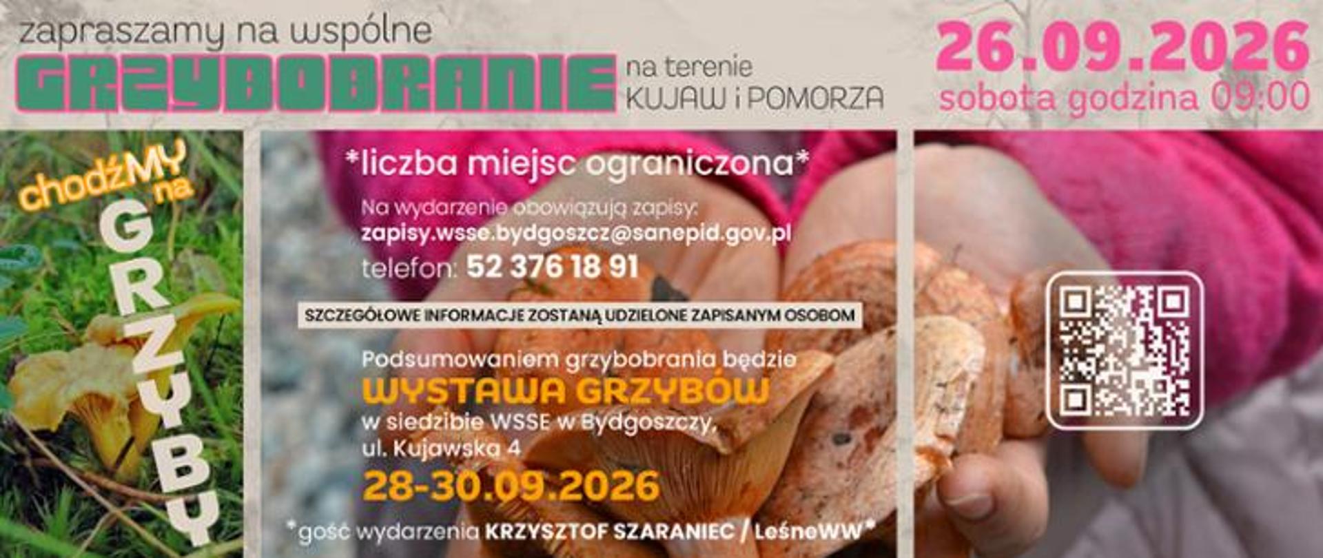 ChodźMY na grzyby