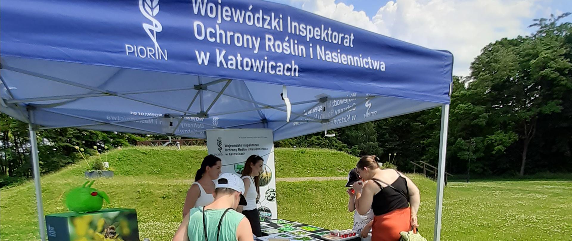 **Opis zdjęcia dla osób niewidzących (audiodeskrypcja):**
Na zdjęciu widać plenerowe stoisko edukacyjne Wojewódzkiego Inspektoratu Ochrony Roślin i Nasiennictwa w Katowicach. Stoisko znajduje się pod dużym, niebieskim namiotem z wyraźnym białym napisem „Wojewódzki Inspektorat Ochrony Roślin i Nasiennictwa w Katowicach” oraz logo PIORiN.
Pod namiotem stoją trzy pracownice prowadzące zajęcia edukacyjne. Przed nimi ustawiono stół z planszami, ilustracjami roślin oraz materiałami informacyjnymi. Po lewej stronie stołu znajduje się zielona maskotka przypominająca gąsienicę lub owada.
Przy stoisku zgromadziło się kilka osób, w tym kobieta z dzieckiem oraz chłopiec w jasnej czapce z daszkiem i zielonej koszulce, którzy oglądają przygotowane materiały. Jedno z dzieci korzysta z lupy, przyglądając się eksponatom.
W tle rozciąga się zielona, trawiasta przestrzeń z łagodnym pagórkiem i gęstymi drzewami. Nad całością widoczne jest błękitne niebo z białymi chmurami. Zdjęcie przedstawia spokojną, letnią atmosferę rodzinnego wydarzenia edukacyjnego na świeżym powietrzu.
