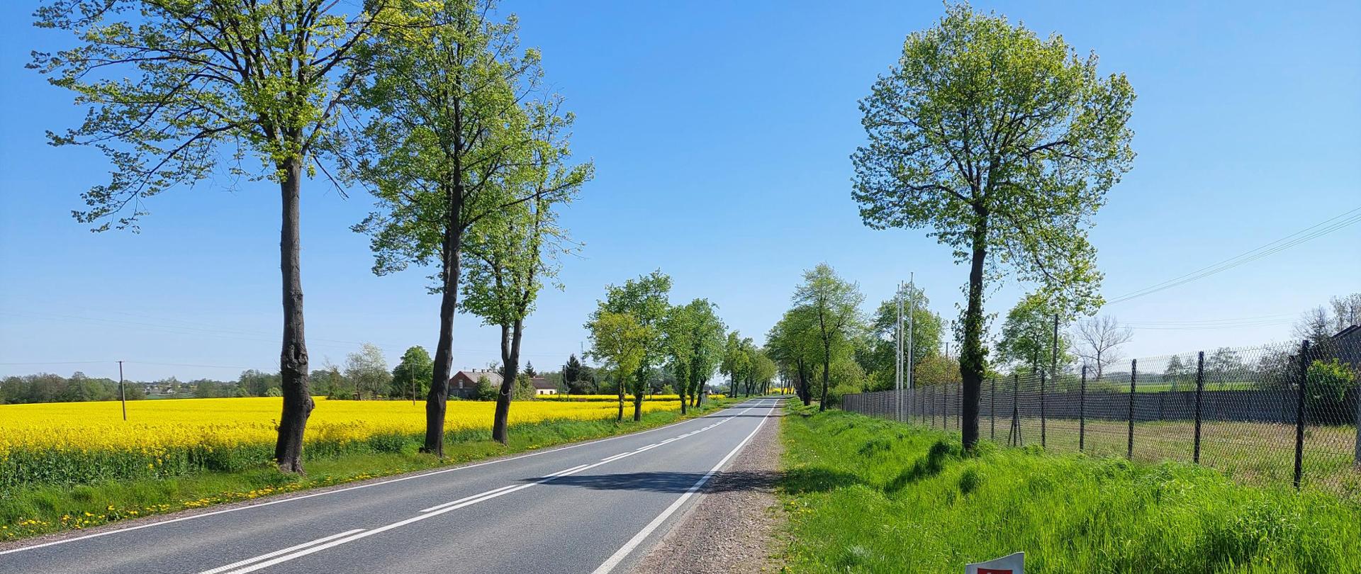 DK_60_Goślice_km_79+000