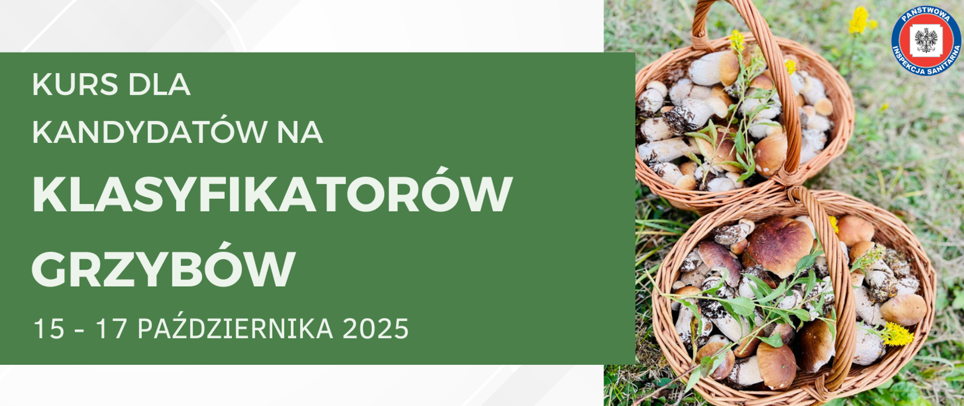 Koszyki pełne grzybów oraz tekst kurs dla kandydatów na klasyfikatorów grzybów 15-17 października 2025