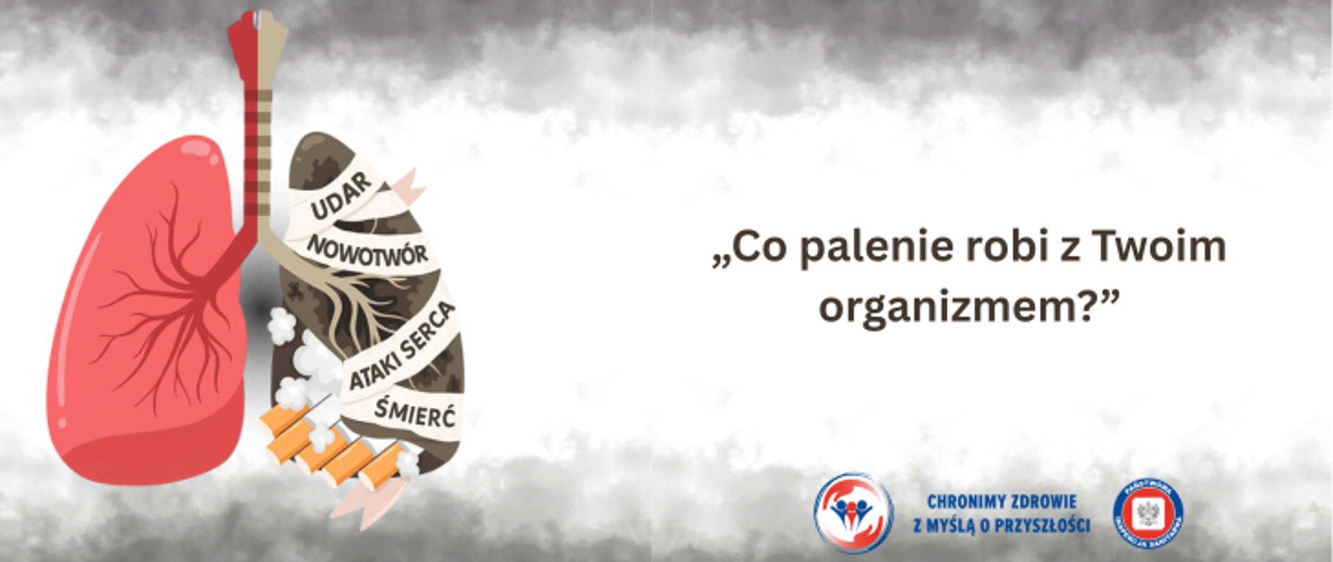 Grafika przedstawia białe tło, które na dole i na górze pokryte jest szarym dymem. Po lewej stronie znajduje się grafika płuch, których płat po lewej stronie jest czerwony i zdrowy natomiast drugi, zniszczony od palenia, a na nim umieszczono papierosy oraz napisy UDAR, NOWOTWÓR, ATAKI SERCA, ŚMIERĆ. Po prawej stronie znajduje się napis Co palenie robi z Twoim organizmem?, a w prawym dolnym rogu dwa logo Inspekcji Sanitarnej oraz napis Chronimy Zdrowie z MYślą o przyszłości.