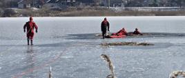 Zdjęcie przedstawia strażaków PSP ubranych w suche skafandry oraz kamizelki ratownicze, którzy poruszają się po zamarzniętym jeziorze. Do swoich kamizelek mają przypięte liny asekuracyjne. Przed nimi w przeręblu czeka strażak-pozorant.