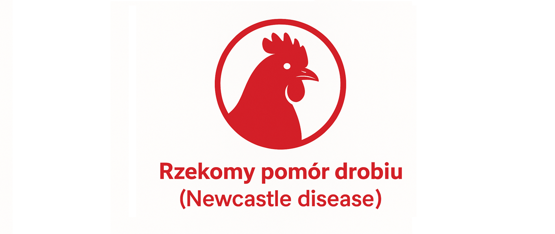 Rzekomy pomór drobiu (Newcastle disease)