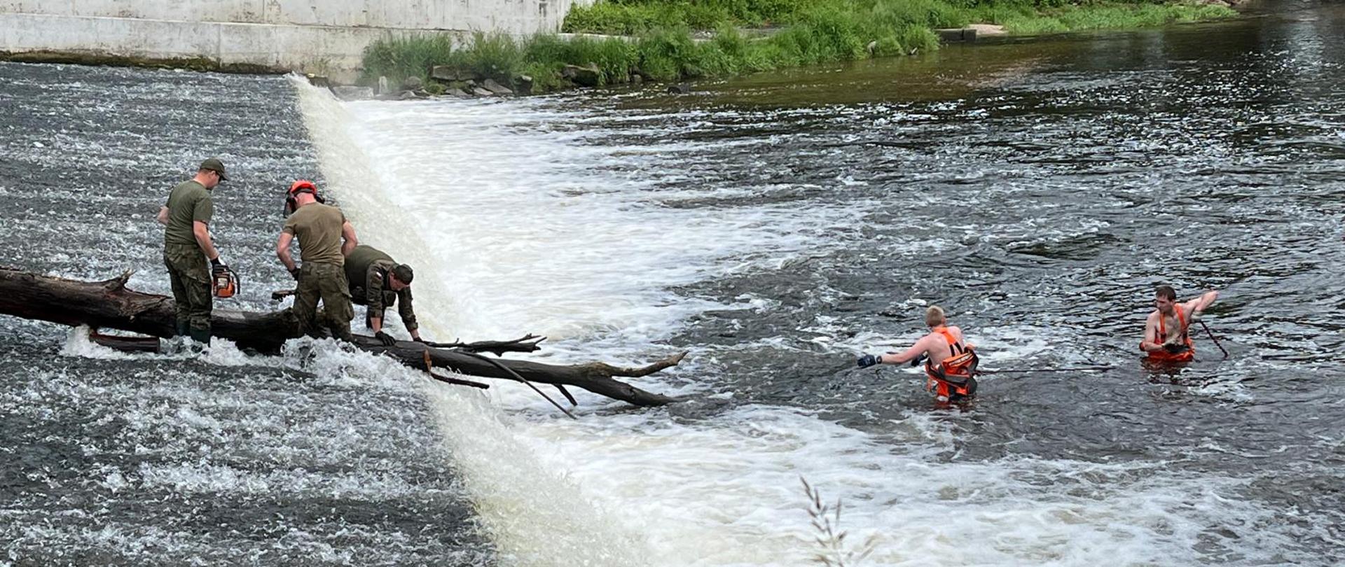 Szeroko zakrojona akcja porządkowania rzeki Bóbr we współpracy z Wojskiem Polskim, Starostwem Powiatowym oraz Gminą Lwówek Śląski.