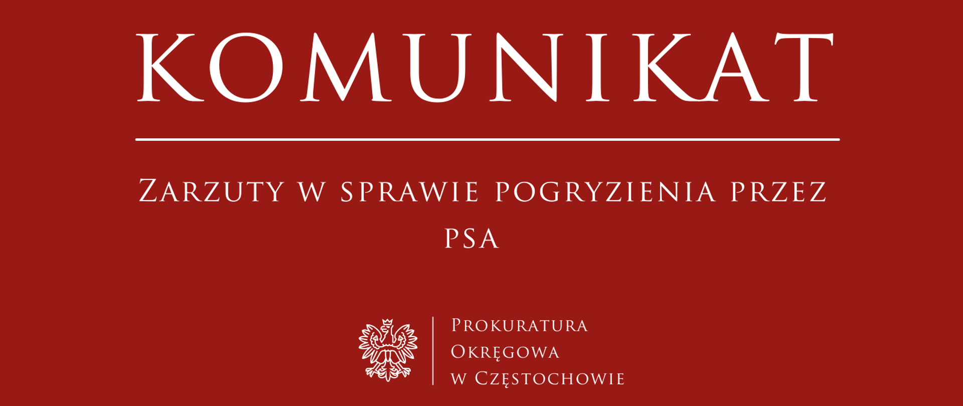 Zarzuty w sprawie pogryzienia przez psa