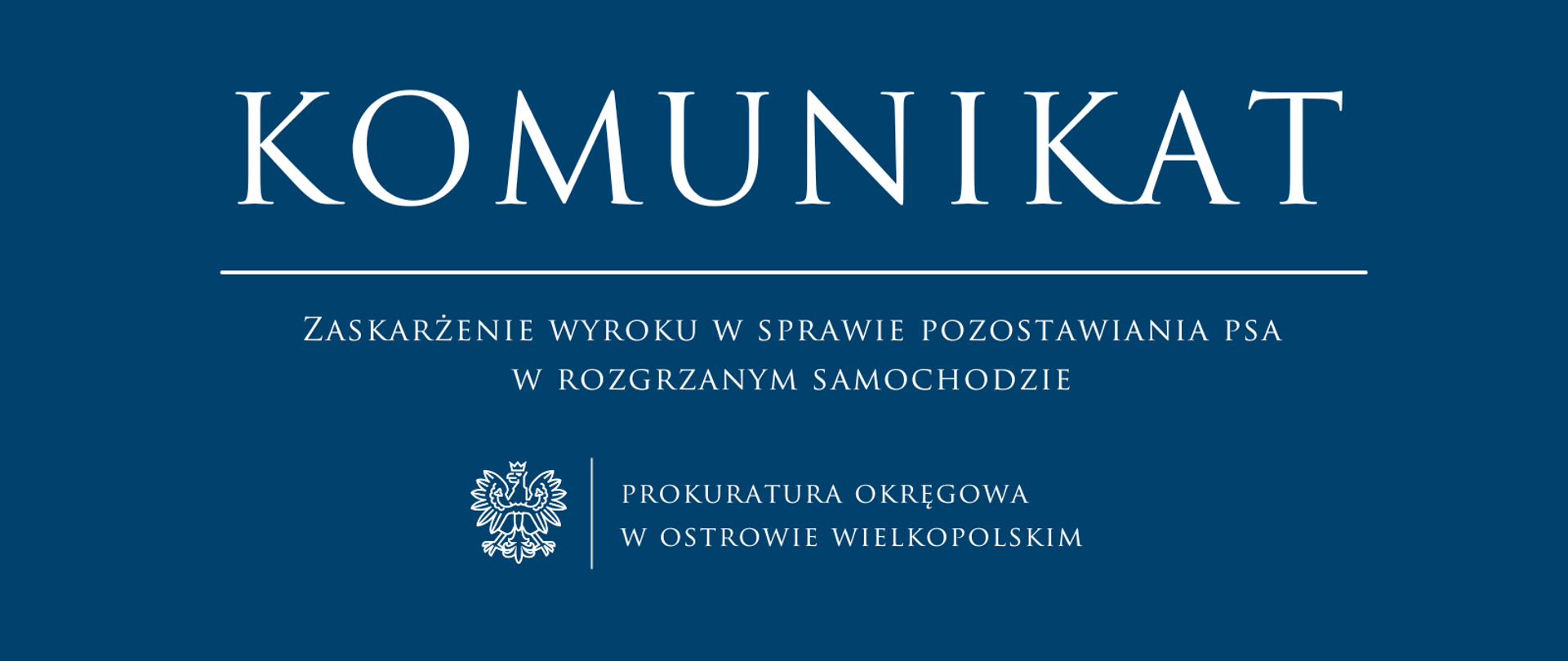 Zaskarżenie wyroku w sprawie pozostawiania psa w rozgrzanym samochodzie
