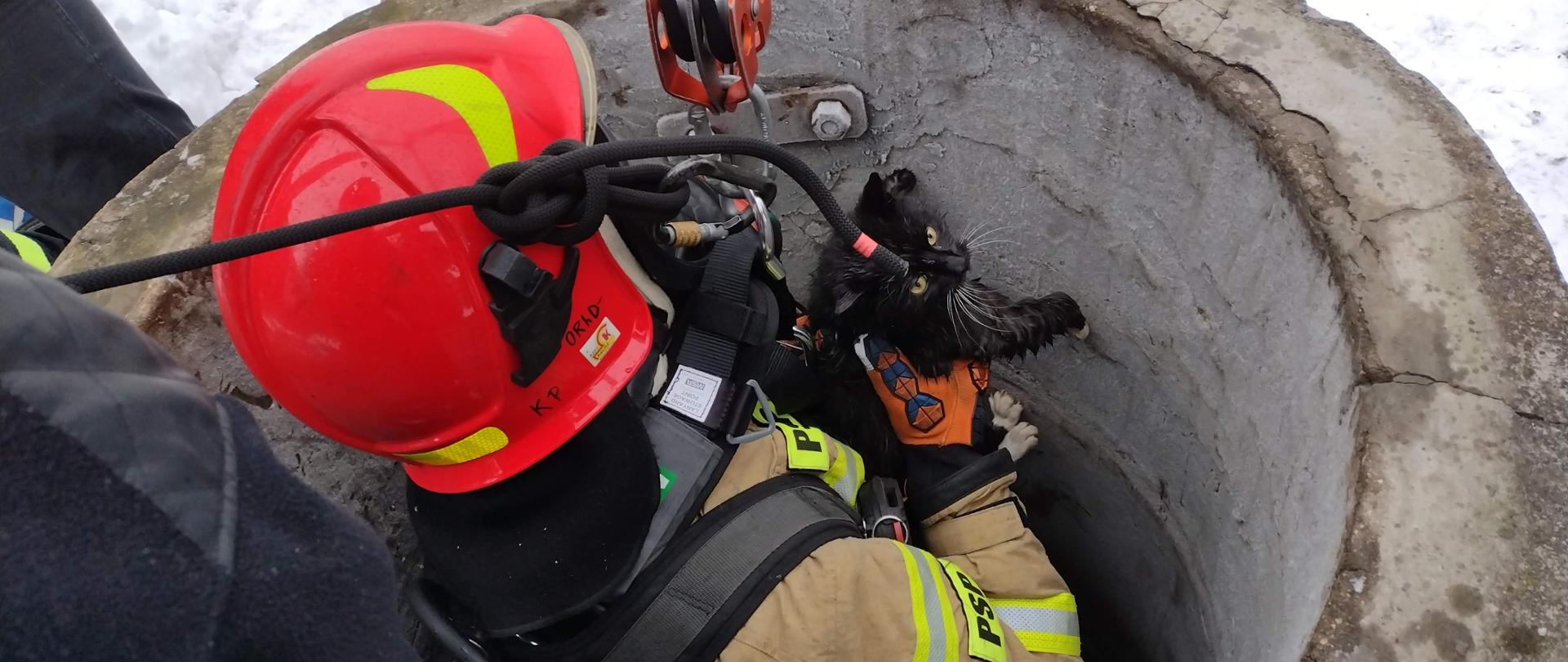 Na pierwszym planie strażak w studni ubrany w sprzęt ODO. Na rękach trzyma uratowanego kota.