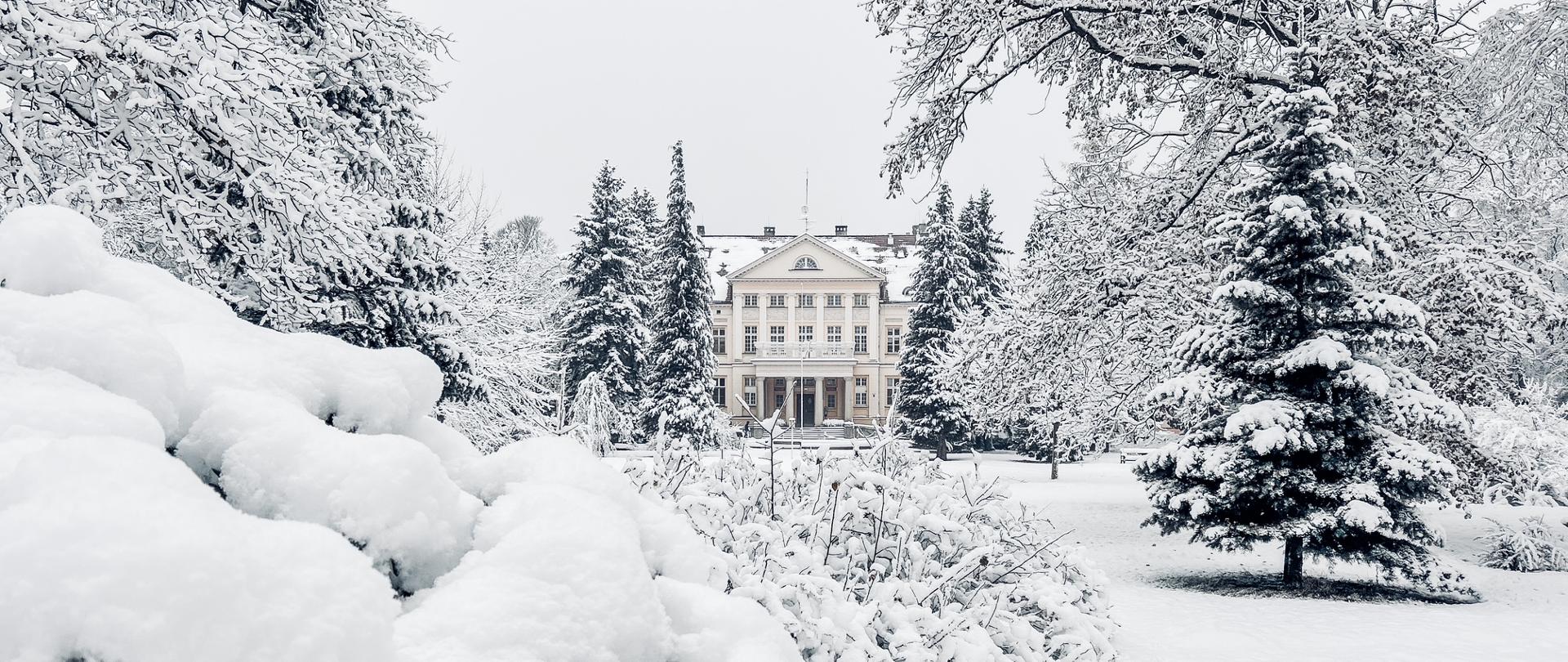 Park w zimowej odsłonie zachwyca swoją atmosferą