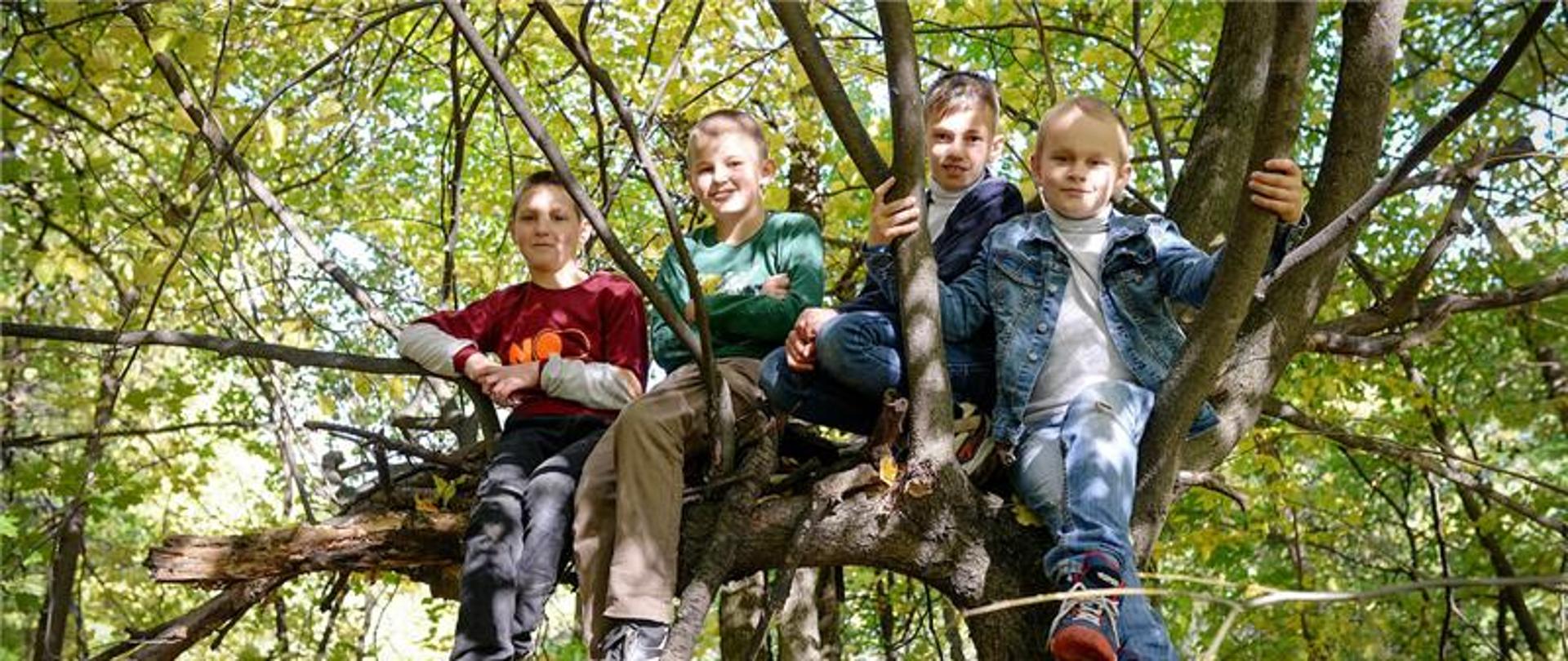 na zdjęciu widnieje czwórka chłopców, którzy siedzą na gałęzi drzewa. 