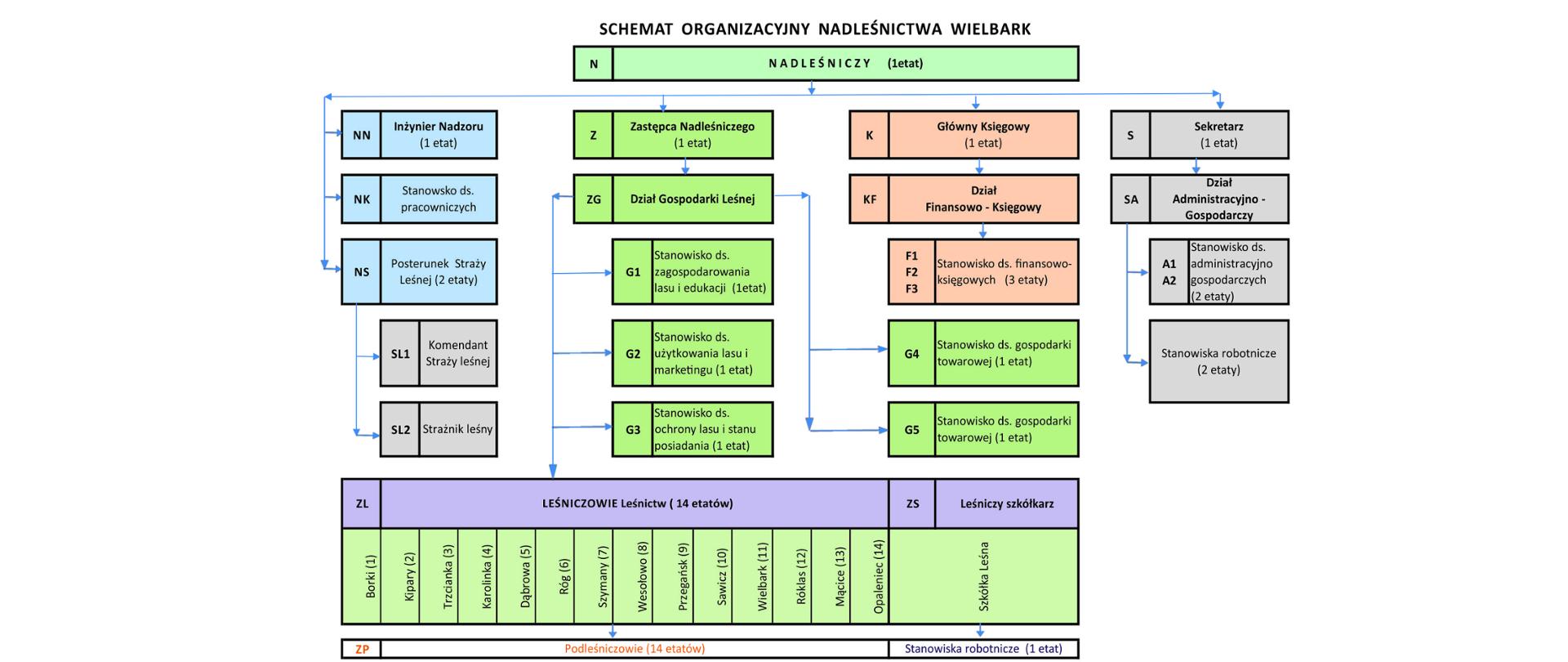 schemat organizacyjny Nadleśnictwa Wielbark