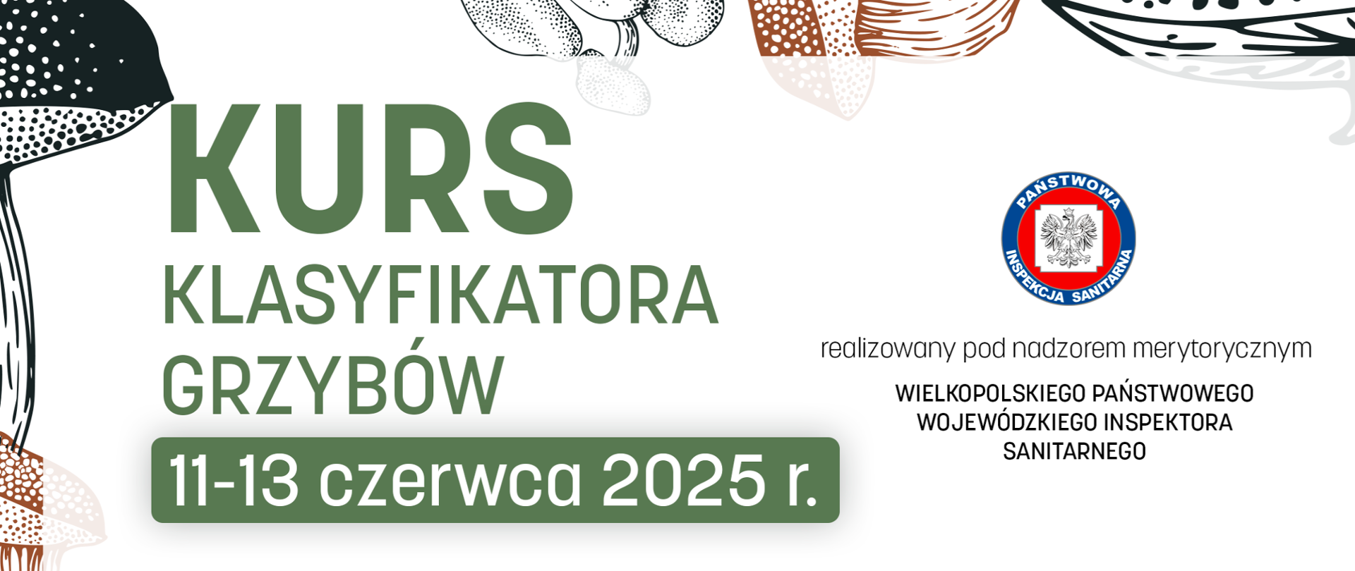 Kurs klasyfikatora grzybów