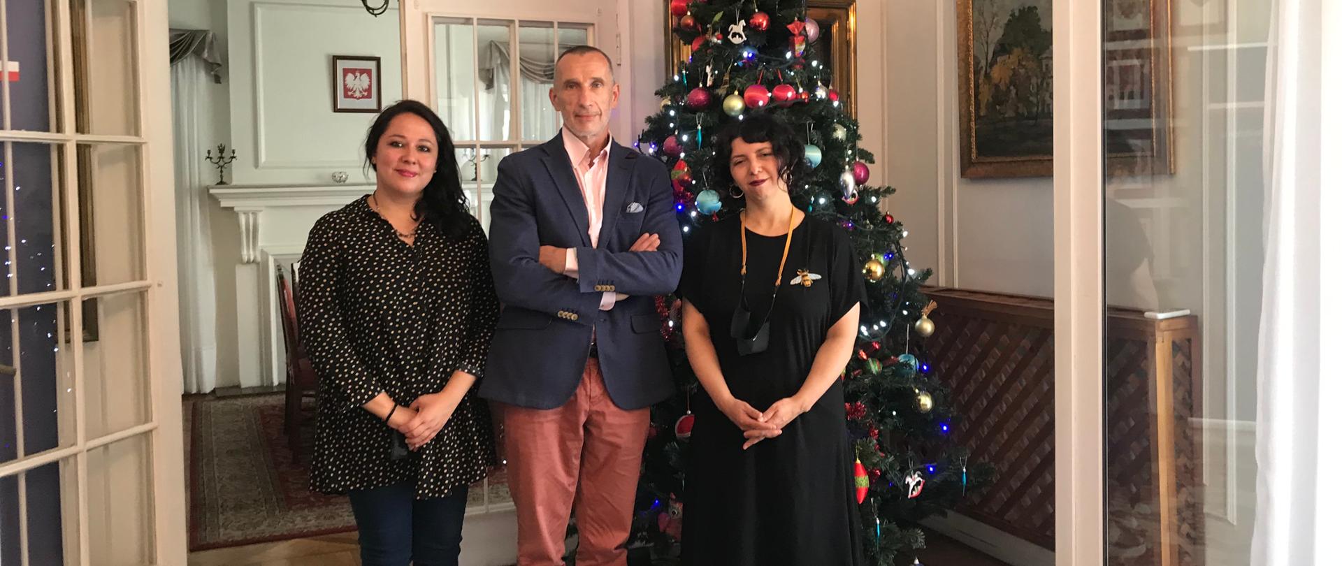 Artequin-spotkanie w ambasadzie