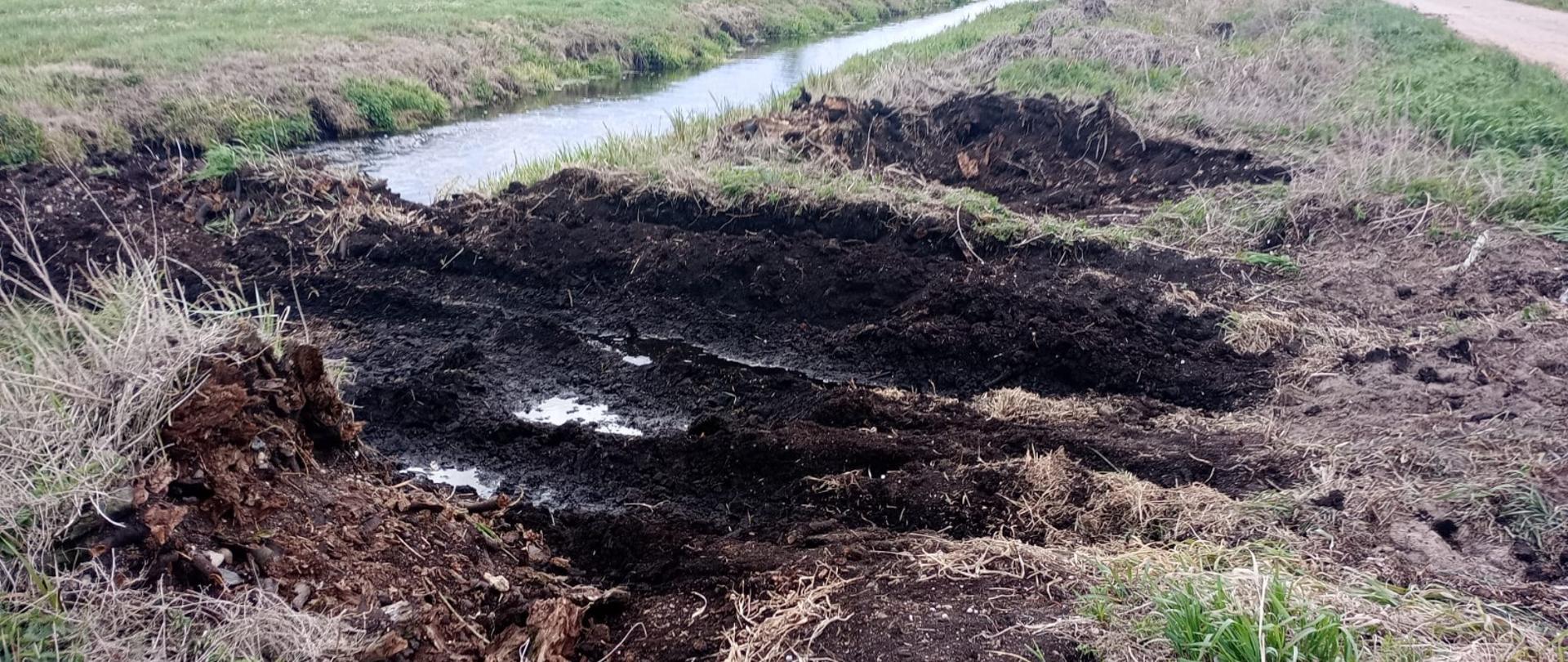 Akcja obywatelskiego nieposłuszeństwa