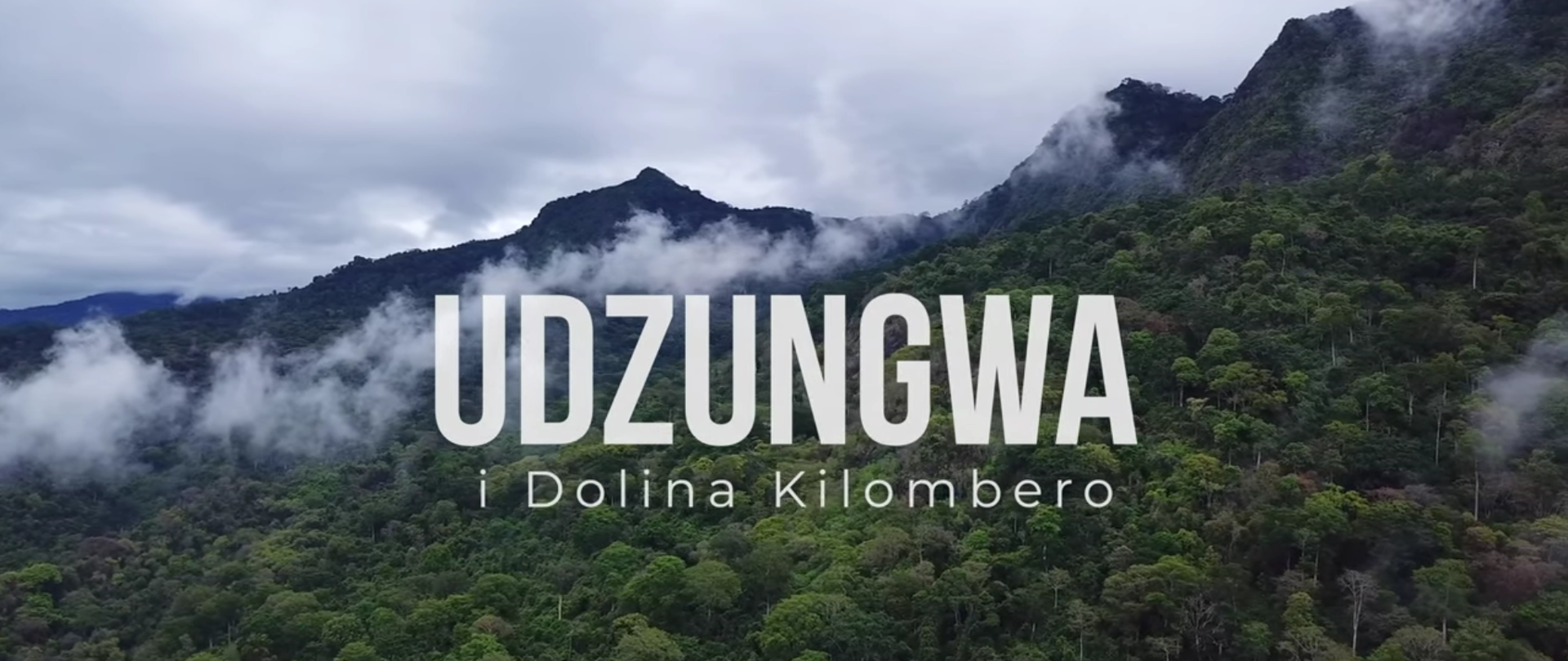 A shot from Udzungwa and the Kilombero Valley documentary showing rain forest on the mountain slopes
