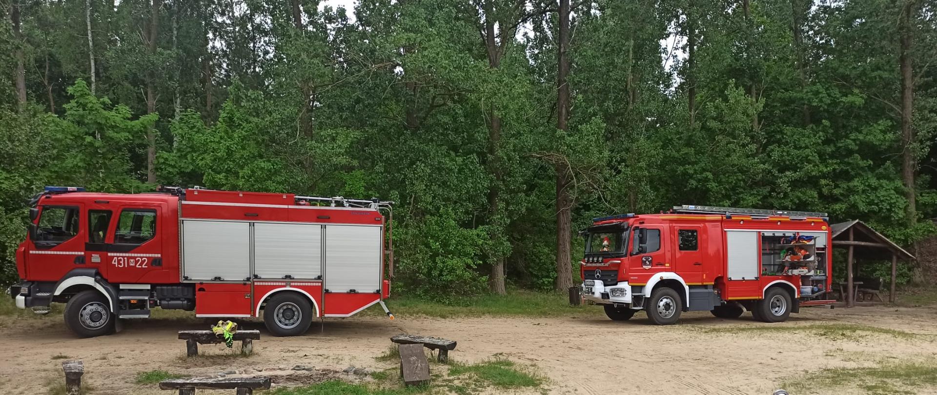 Ćwiczenia na terenie kompleksu leśnego Dybanka
