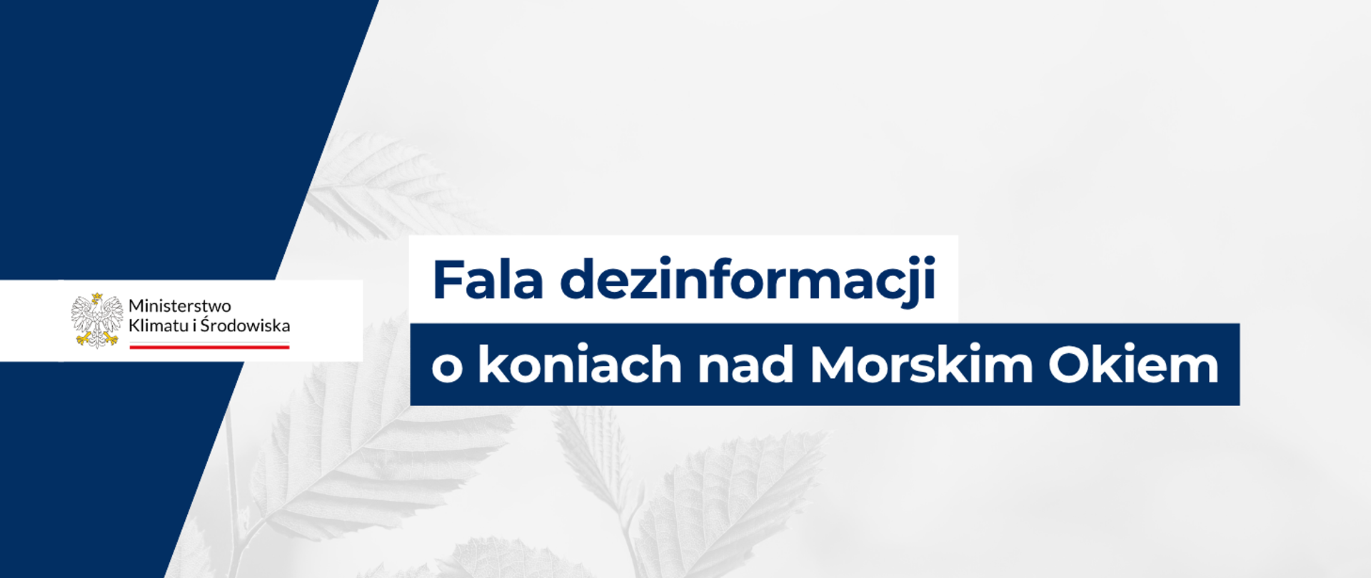 Grafika z napisem Fala dezinformacji o koniach nad Morskim Okiem. Po lewej stronie znajduje się logo ministerstwa, a całość utrzymana jest w biało-granatowej kolorystyce z delikatnym motywem liści w tle.