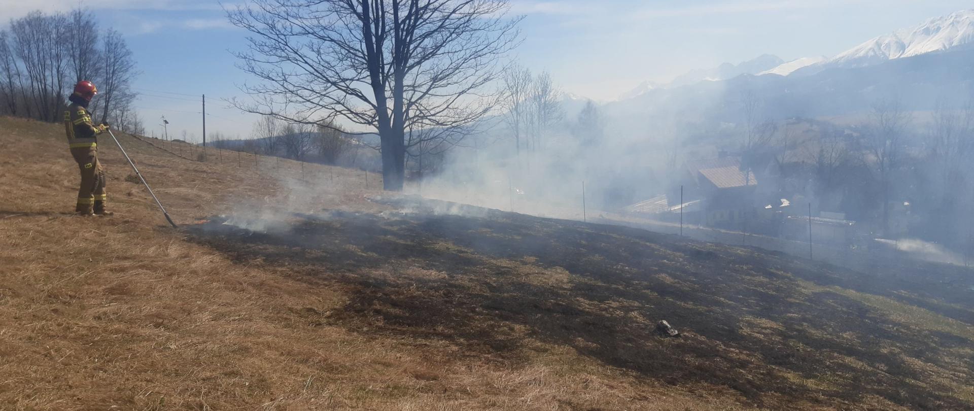 Pożary nieużytków, z uwagi na ich charakter i zazwyczaj duże rozmiary, angażują znaczną liczbę sił i środków straży pożarnych.