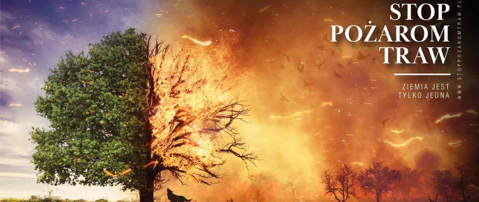 Plakat przedstawiający pożar łąki obejmujący już połowę rosnącego drzewa.