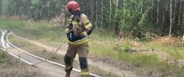 Na pierwszym planie, centralnie na piaszczystej ścieżce, stoi strażak w pełnym umundurowaniu ochronnym: beżowo-żółtym kombinezonie z czarnymi i odblaskowymi wstawkami oraz czerwonym hełmie. Trzyma w rękach końcówkę węża strażackiego z prądownicą, przygotowując się do działania lub po jego zakończeniu. Wąż strażacki biegnie po ziemi, wijąc się w lewo i w prawo od strażaka. W tle rozciąga się gęsty, młody las, a nad horyzontem unosi się lekka mgiełka, być może dym. Ogólny nastrój zdjęcia wskazuje na prowadzone działania gaśnicze lub szkoleniowe w trudnym terenie leśnym.