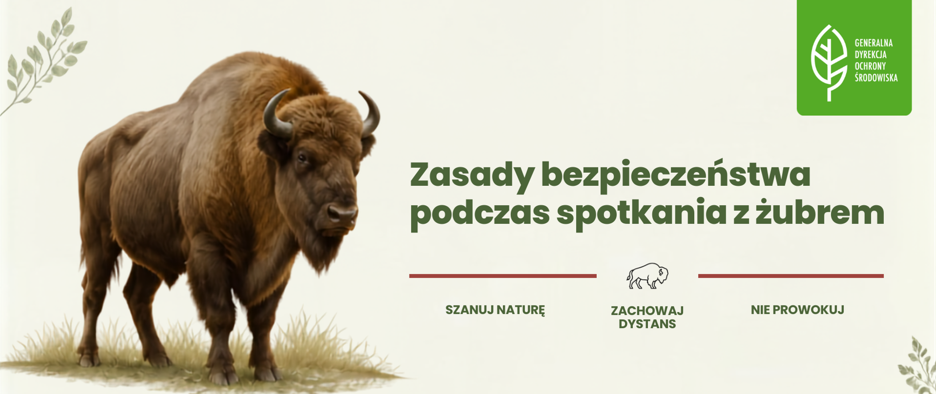 Infografika Zasady bezpieczeństwa z żubrem