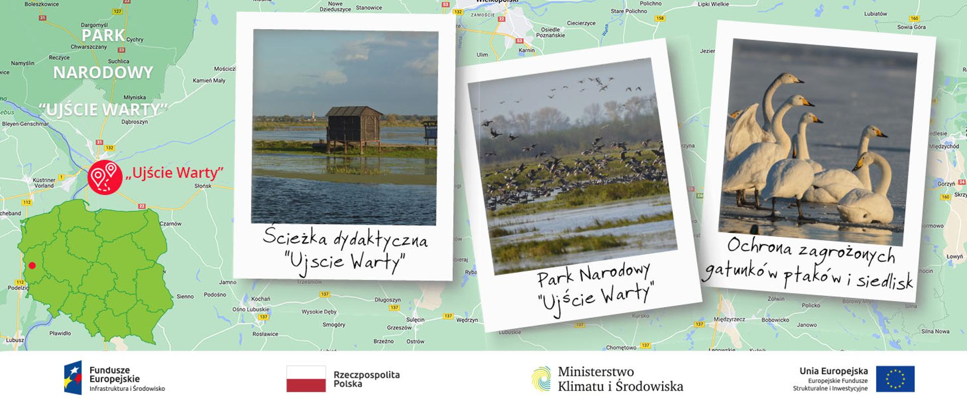 Ochrona zagrożonych gatunków ptaków i siedlisk w Parku Narodowym "Ujście Warty” poprzez budowę terenowej infrastruktury edukacyjno-turystycznej