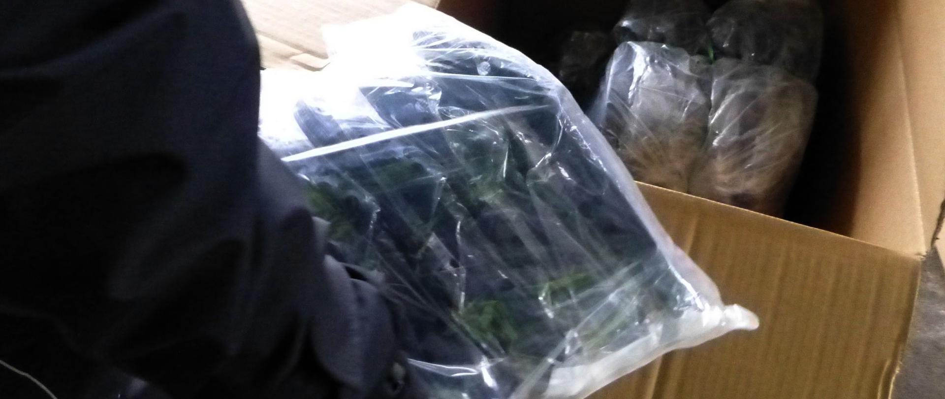 Worki z nielegalnym towarem