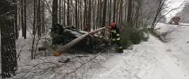 Zdjęcie przedstawia czarny samochód osobowy na dachu, znajdujący się poza pasem drogowym. Przy samochodzie stoi dwóch strażaków, natomiast na samochodzie znajduje się powalone drzewo.