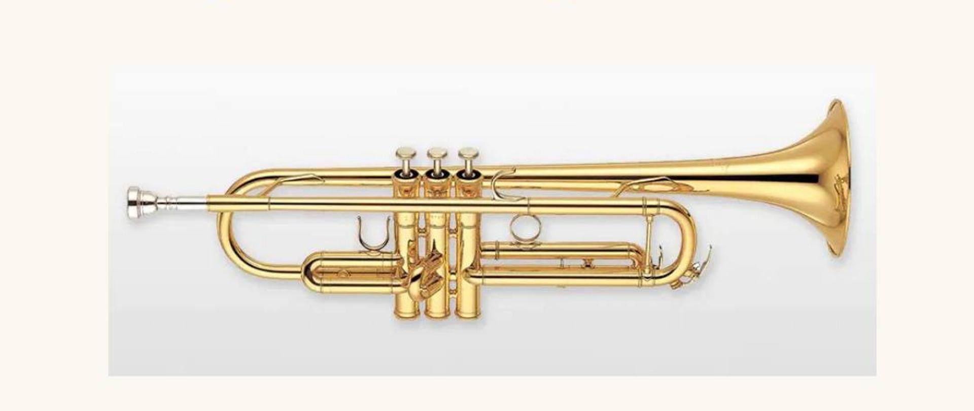 Plakat przedstawia informację o Audycji klasy trąbki, która odbędzie się 20 maja 2025 r. o godzinie 16:30 w Sali koncertowej Państwowej Szkoły Muzycznej I stopnia w Płońsku, oraz zdjęcie złotej trąbki.