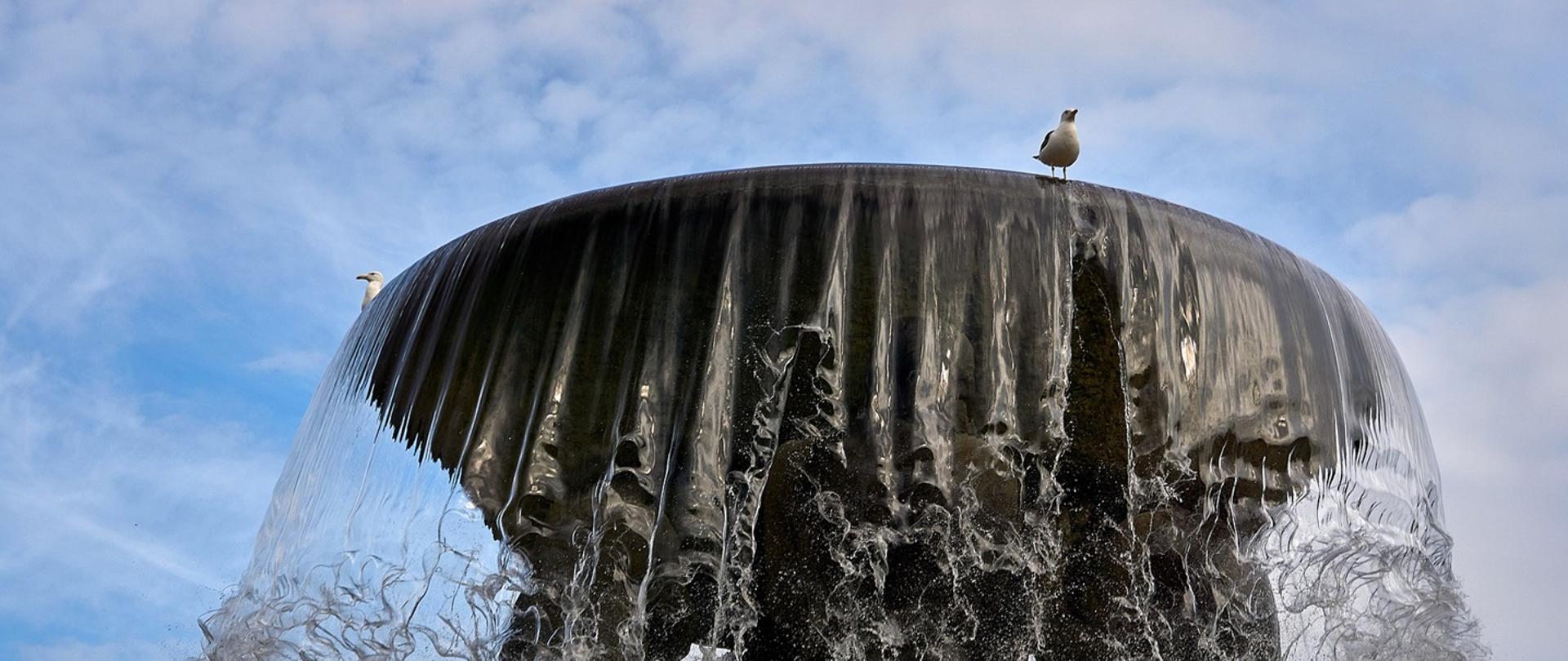 Na zdjęciu widać element szczytowy fontanny na którym siedzą dwie mewy