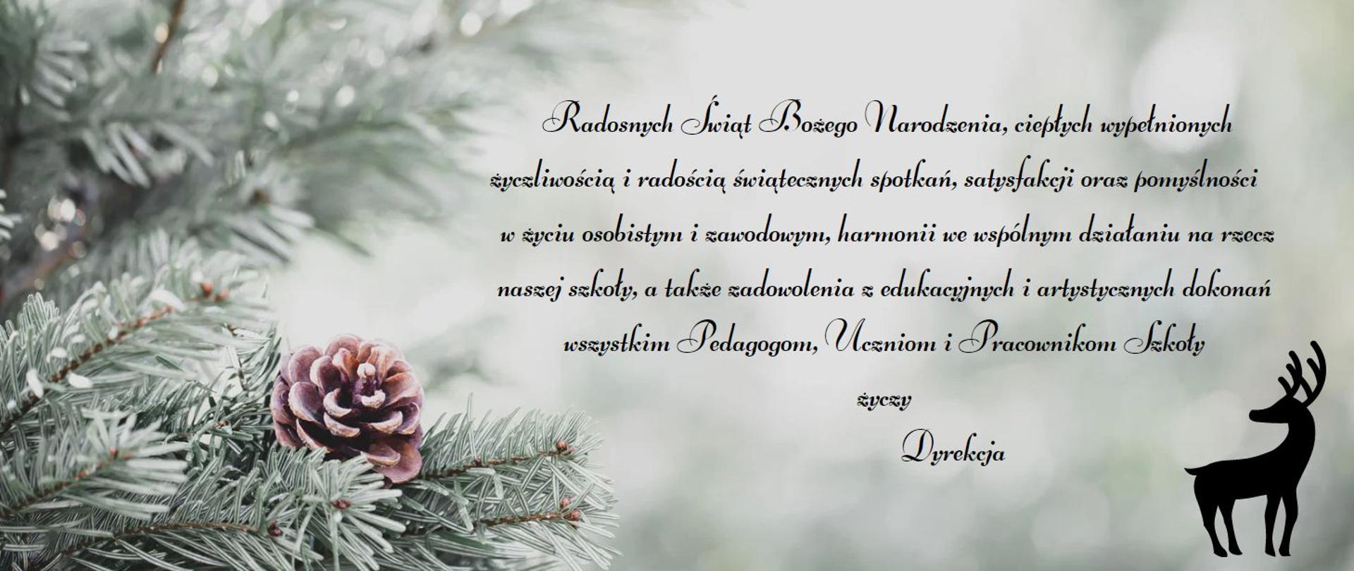 Kartka na zielonym tle z gałązką i szyszką tekst Radosnych Świąt Bożego Narodzenia