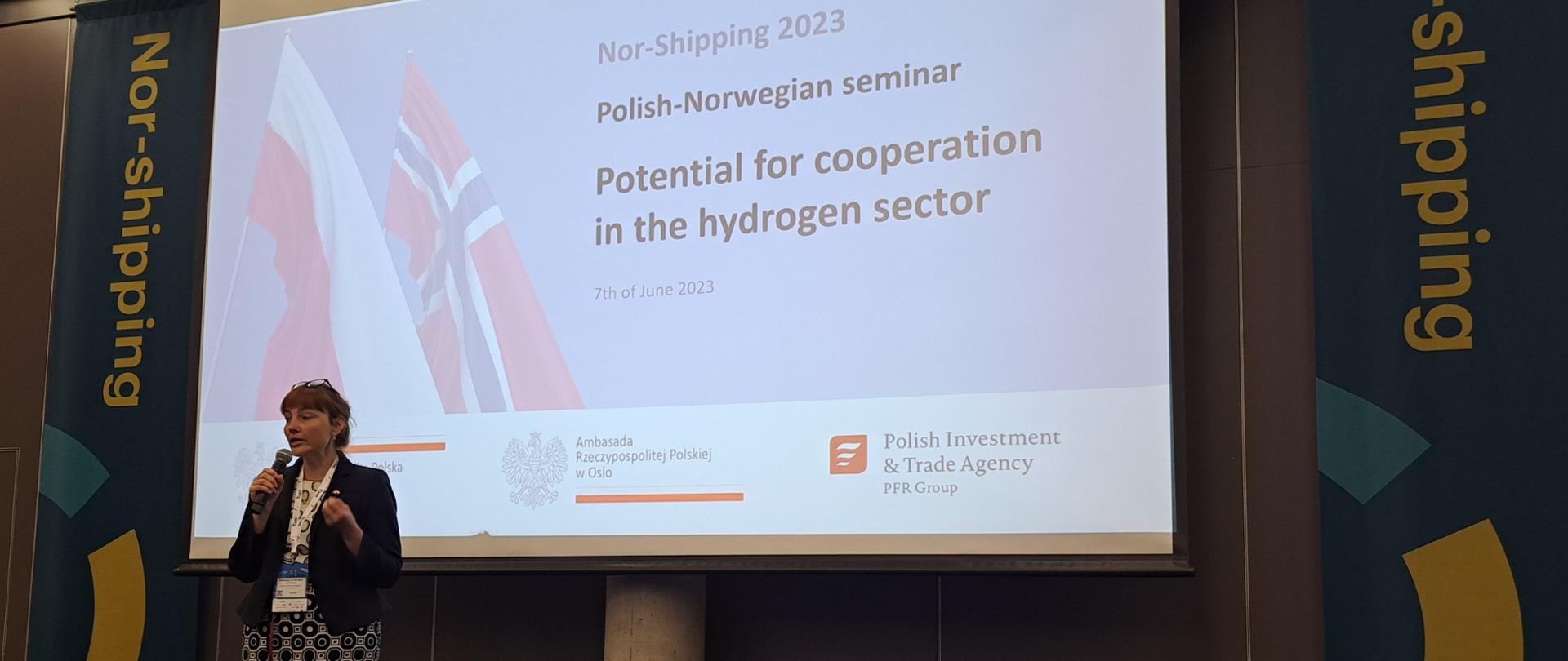 Seminarium wodorowe PL-NO