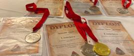 Medale oraz dyplomy za zajęcie czołowych miejsc w mistrzostwach pływackich