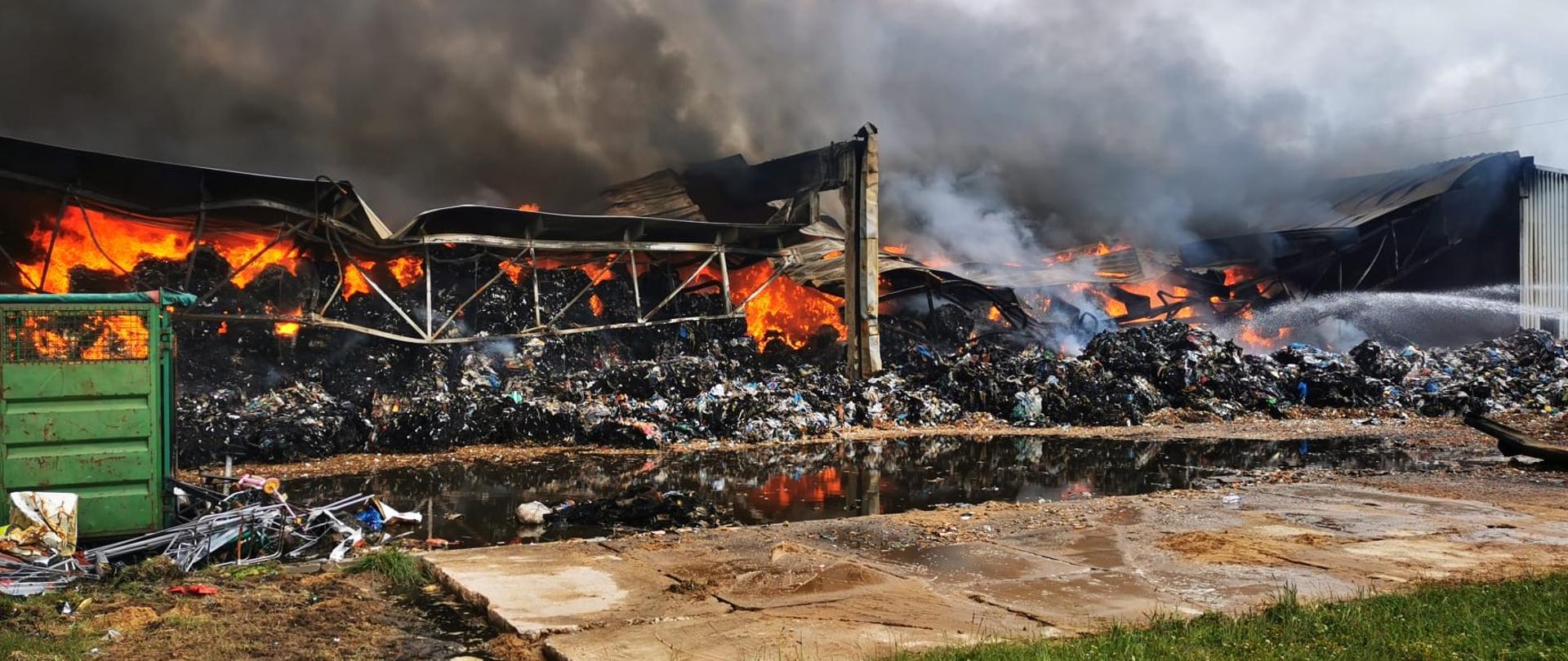 Na zdjęciu: pożar pryzmy zgromadzonych w hali śmieci. Na płonącej hałdzie leży zawalony dach: stalowa kratownica i pokrycie z blachy. Przed halą znajduje się duża kałuża wody popożarowej.